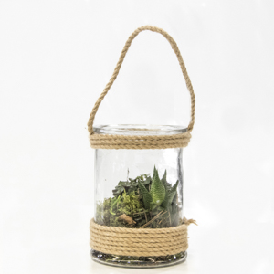 Succulentes Terrarium - MB Murielle Bailet ®