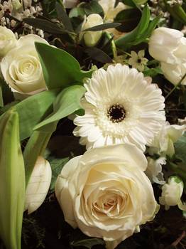 Réf. A041 : Fleurs blanches pour une gerbe - Murielle Bailet Fleuriste