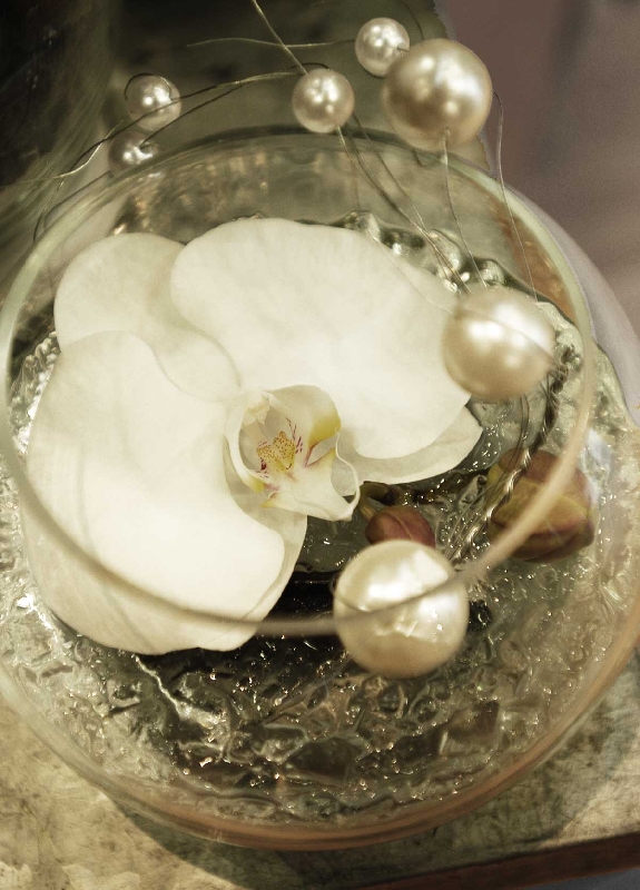 REF 027 Orchidée Blanche de Noel - Murielle Bailet Fleuriste