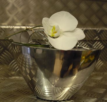 Réf. OR003 - Orchidée vase aluminium - Murielle Bailet Fleuriste