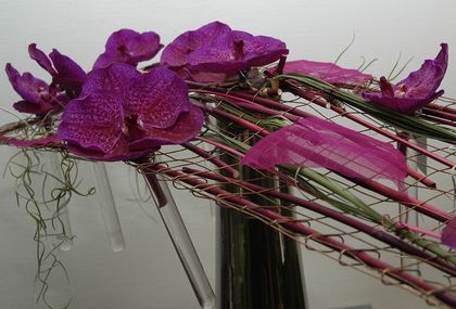 Réf. OR007 - Présentation originale d'orchidée vanda - Murielle Bailet Fleuriste