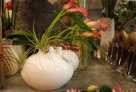 Présentation d'arun de couleur fuschia dans vase original moderne blanc en forme de mamelle de vache - murielle-bailet.com - Image - Nathalie Gayda
