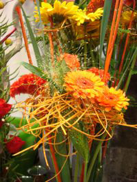 Bouquet original de couleur orange esprit fruité - murielle-bailet.com - Image - Nathalie Gayda