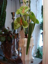 Composition de fleurs exotiques anthuriums vert et feuillage dans vase original en céramique blanche - murielle-bailet.com - Image - Nathalie Gayda